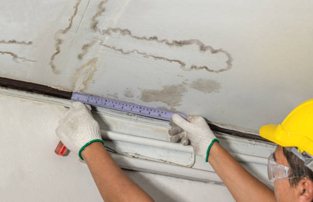 Reliable Water Damage contractor in Nutley, NJ by Water Damage Irwin